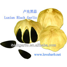 Having Magical Beauty Effect with Black Garlic